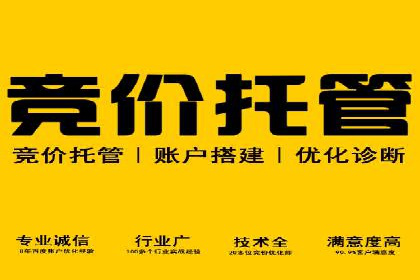 成功案例：竞价SEM托管助力品牌营销